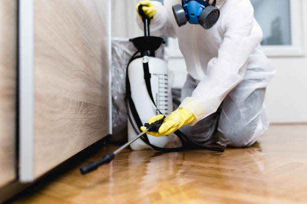 Best Residential Pest Control  in Bisbee, AZ