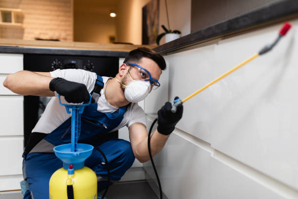 Best Pest Inspection Near Me  in Bisbee, AZ