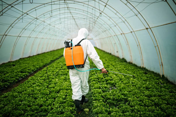 Best Pest Removal Services  in Bisbee, AZ