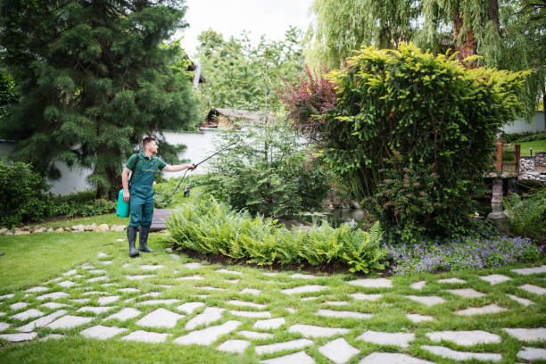Professional Pest Control in Bisbee, AZ