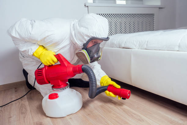 Best Wasp Removal Services  in Bisbee, AZ