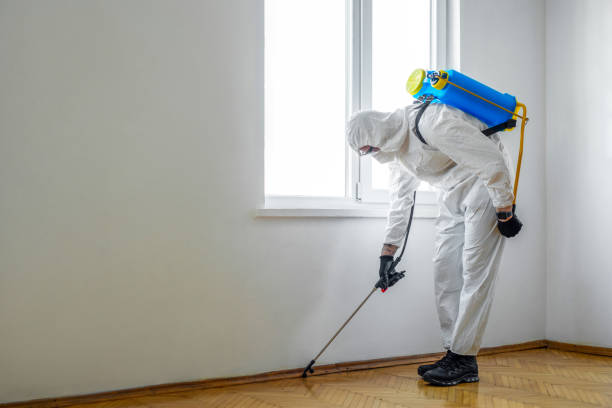 Best Best Pest Control Companies  in Bisbee, AZ