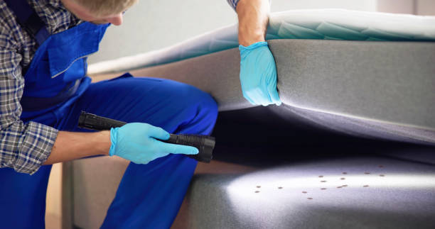 Best Emergency Pest Control  in Bisbee, AZ