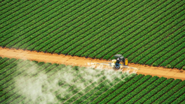 Best Mosquito Control Services  in Bisbee, AZ