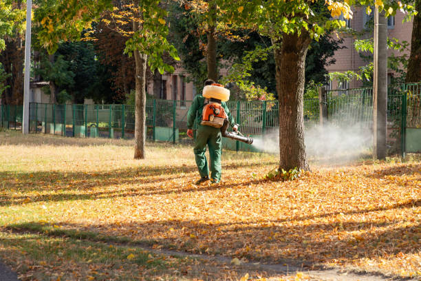 Best Pest Prevention Services  in Bisbee, AZ