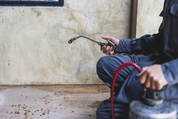 Best Cockroach Control Services  in Bisbee, AZ